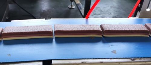 Caso di successo: Consegna della prima barretta proteica al cioccolato a tre strati in Argentina per Carles