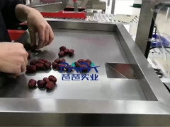 Macchina di confezionamento alimentare verticale CP01