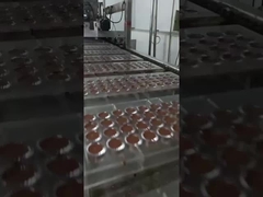 Linea di produzione di cioccolato