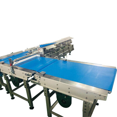 Buon prezzo Apparecchiatura per l'imballaggio del flusso alimentare in linea