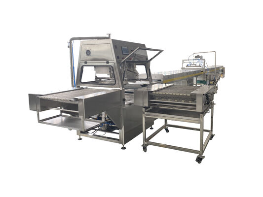 Buon prezzo Ricopritrice per cioccolato ad alimentazione automatica da 400 mm con rivestimento a doppio strato e tunnel di raffreddamento In linea